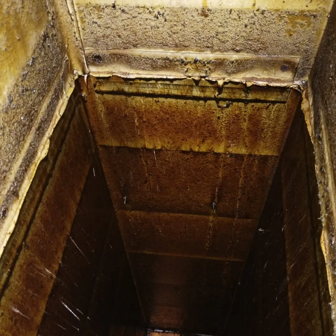 puliza cappa albergo trento